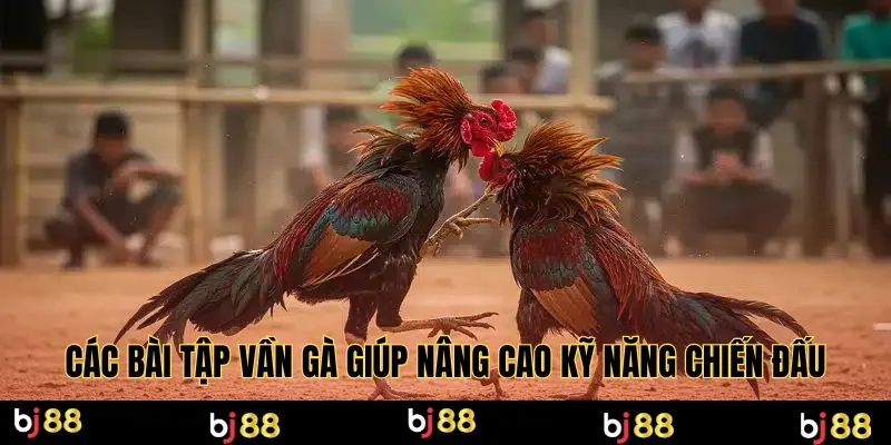 Các bài tập vần gà giúp nâng cao kỹ năng chiến đấu