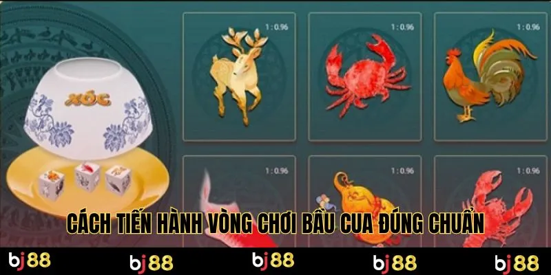 Cách tiến hành vòng chơi bầu cua đúng chuẩn