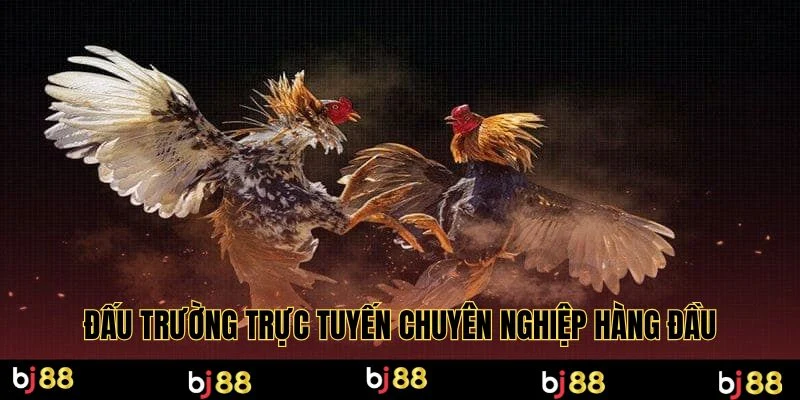 Đấu trường trực tuyến chuyên nghiệp hàng đầu