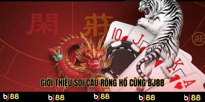 Giới thiệu soi cầu rồng hổ cùng BJ88