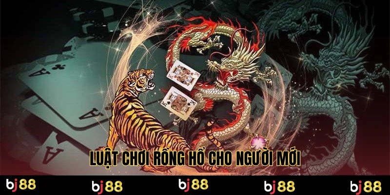 Luật chơi rồng hổ cho người mới