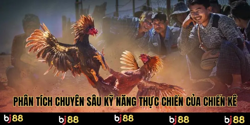 Phân tích chuyên sâu kỹ năng thực chiến của chiến kê