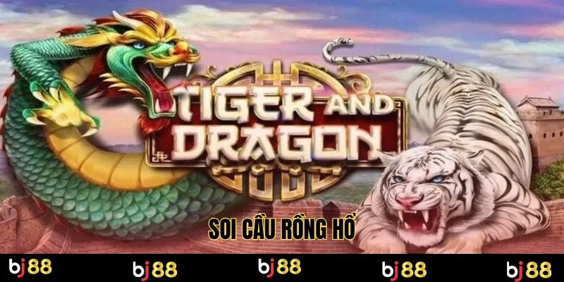 soi cầu rồng hổ