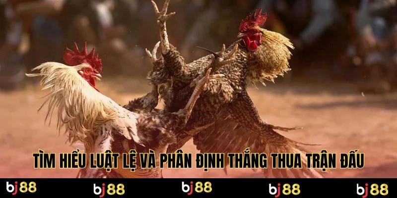 Tìm hiểu luật lệ và phân định thắng thua trận đấu